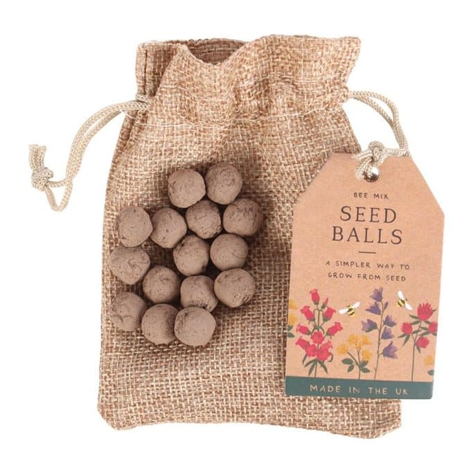Bag of 24 garden seed balls with a hang tag