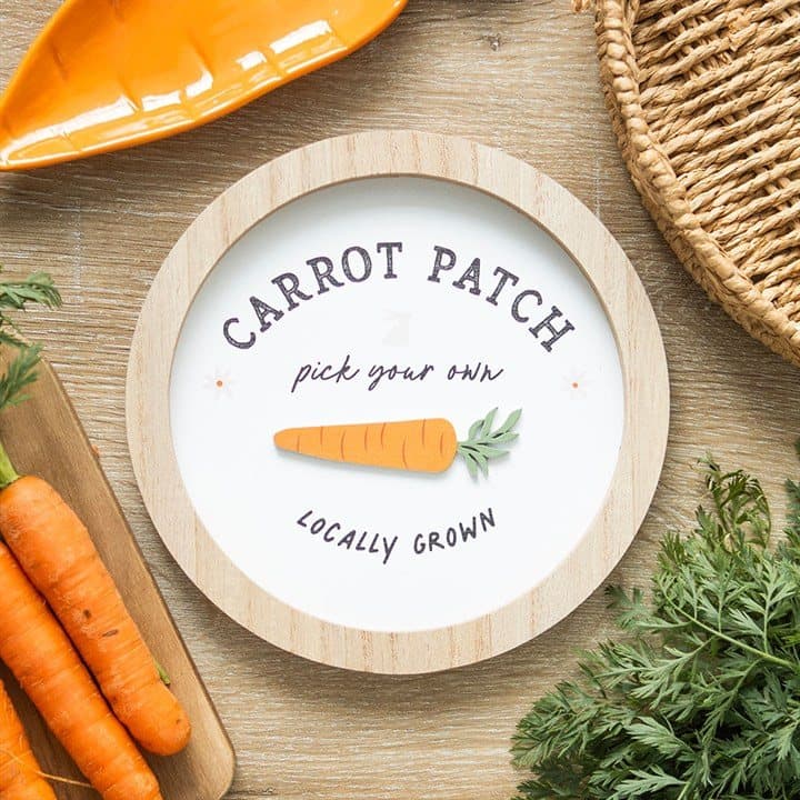 Round 3D wall plaque with a cute bunny and carrot details