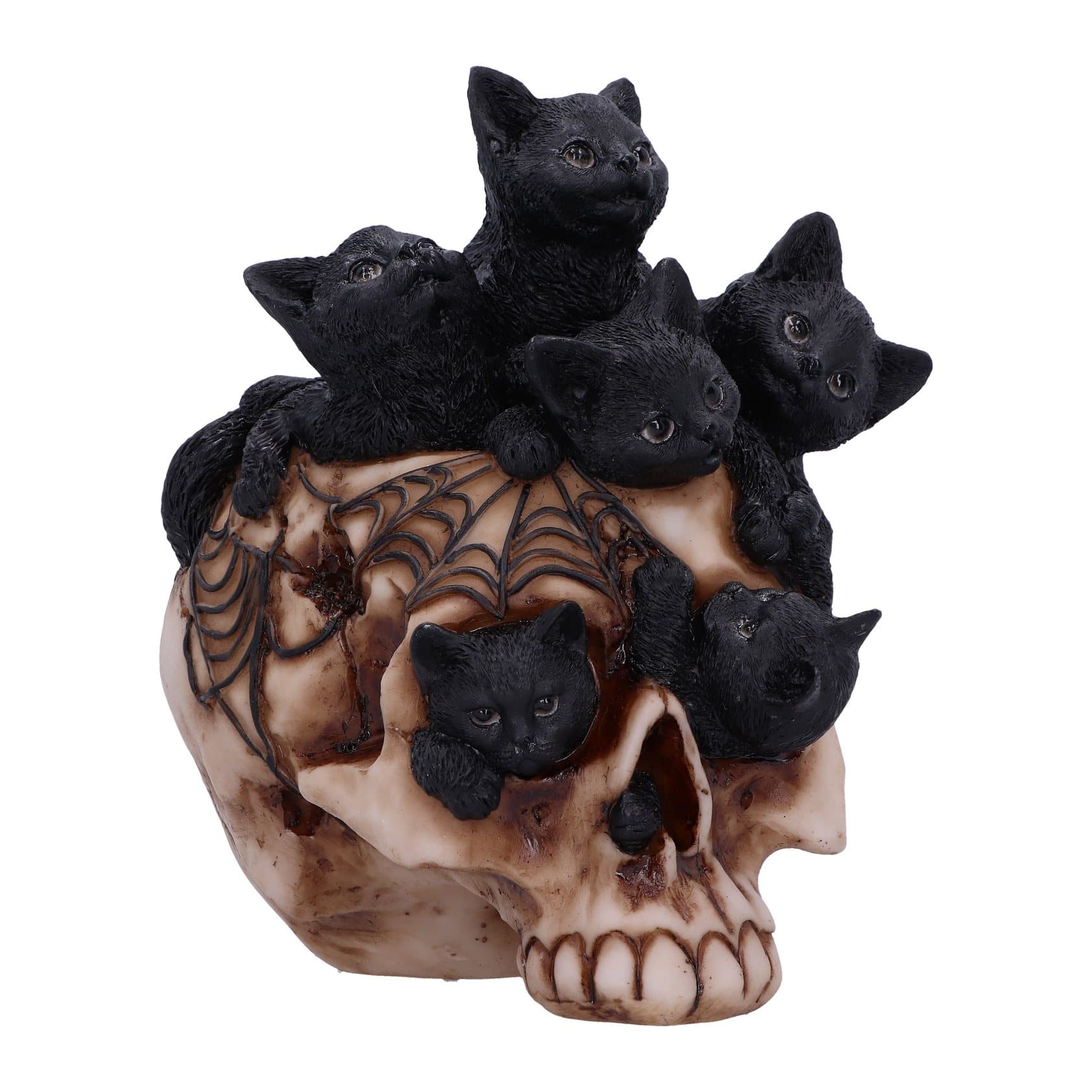 Cranial Litter Skull, a skull gift