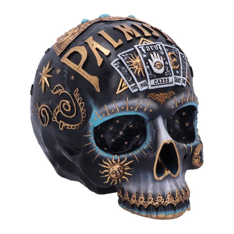 Black resin skull with tarot cards, palmistry lettering and gold symbols