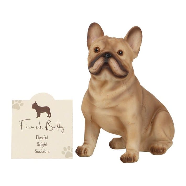 Resin French bulldog ornament with shiny eyes and a standing sentiment card