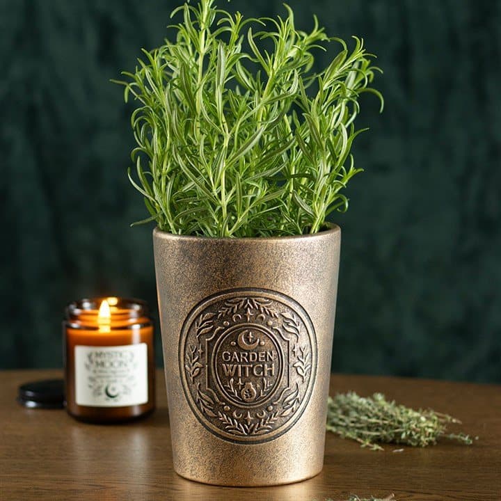 Garden Witch terracotta plant pot