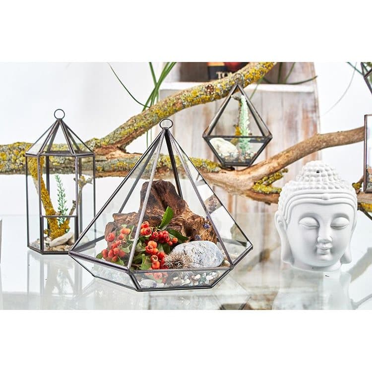 Geometric glass and brass terrarium