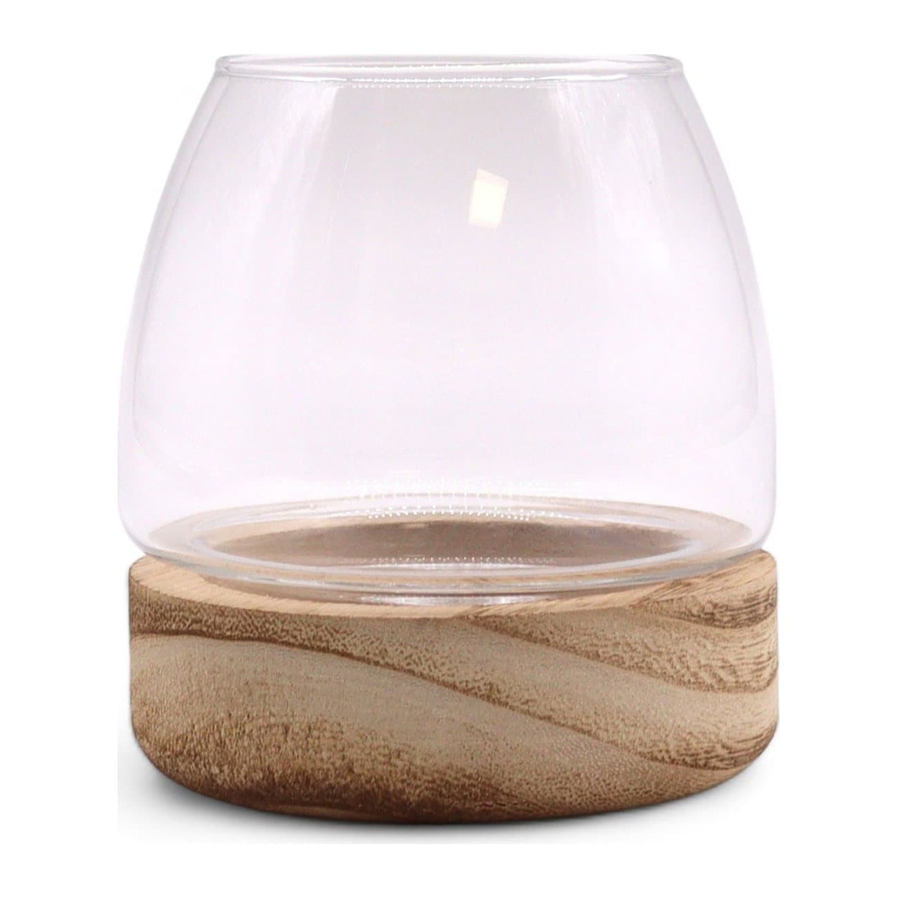 Clear glass terrarium on a wooden base