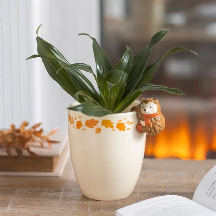 Hedgehog autumn plant pot