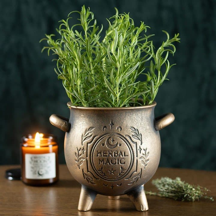 Herbal Magic cauldron plant pot