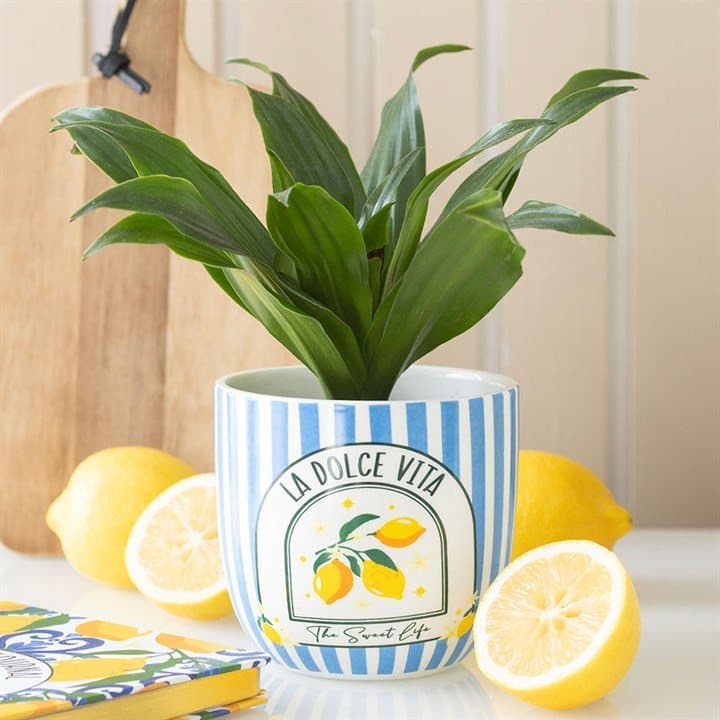 Blue striped La Dolce Vita plant pot
