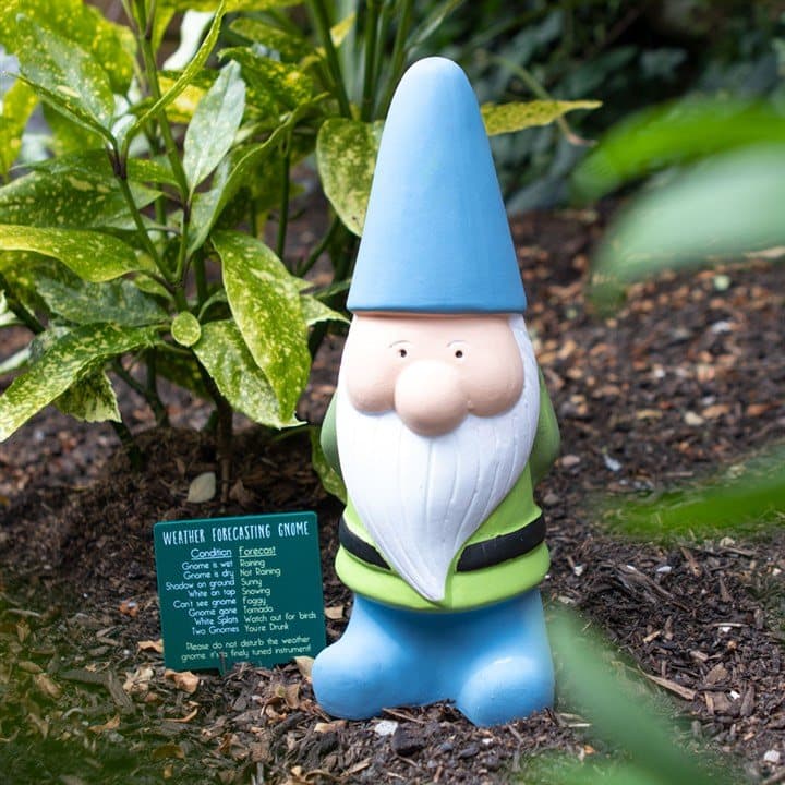 Large terracotta weather forecasting garden gnome