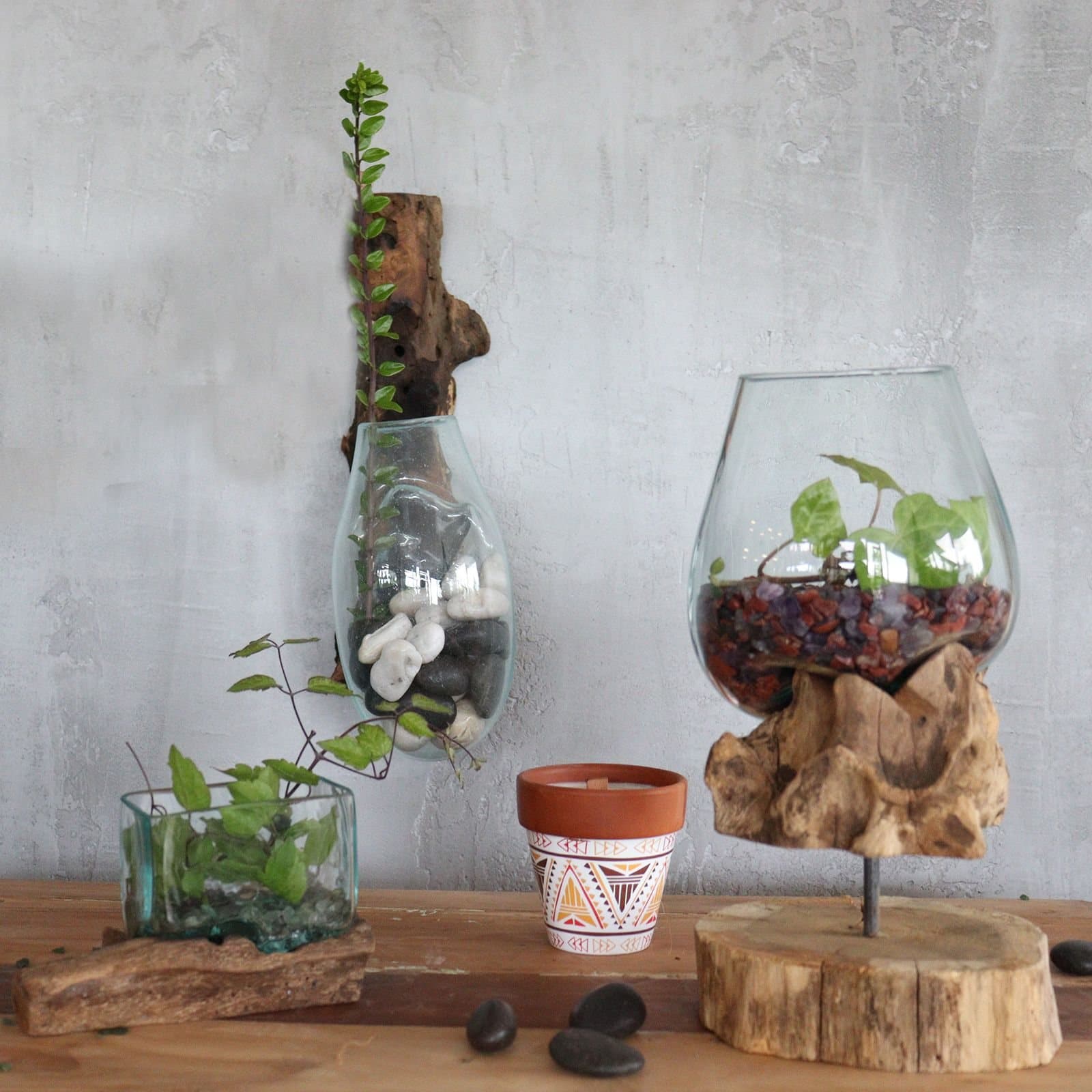 Molten glass bowl shaped over a piece of Gamal wood