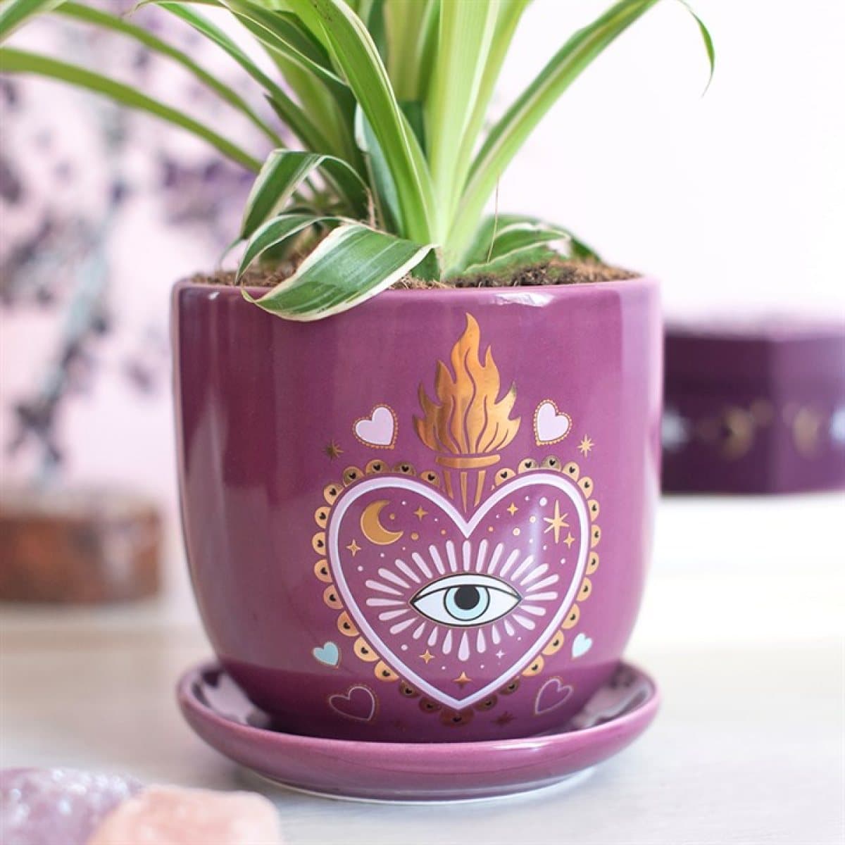 Purple Sacred Sight heart plant pot