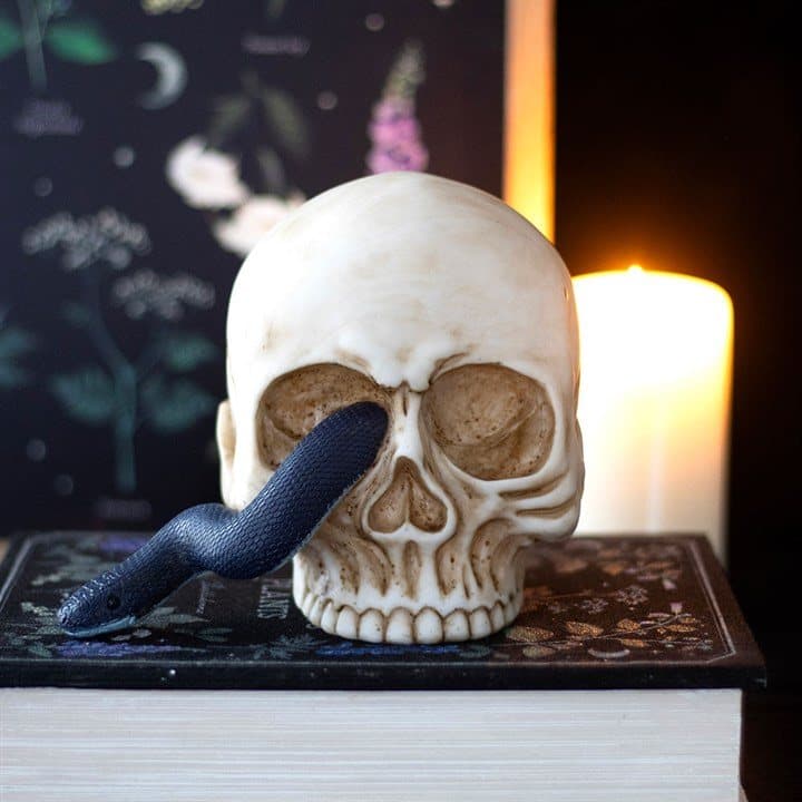 Resin skull ornament with a snake through the eye