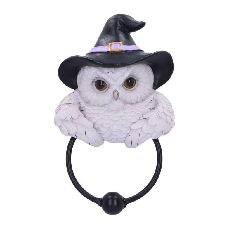 Snowy owl door knocker in a black witch's hat gripping a metal ring