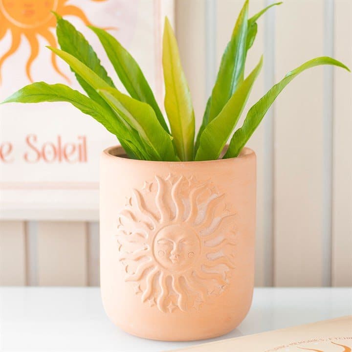 Terracotta plant pot with an embossed sun design