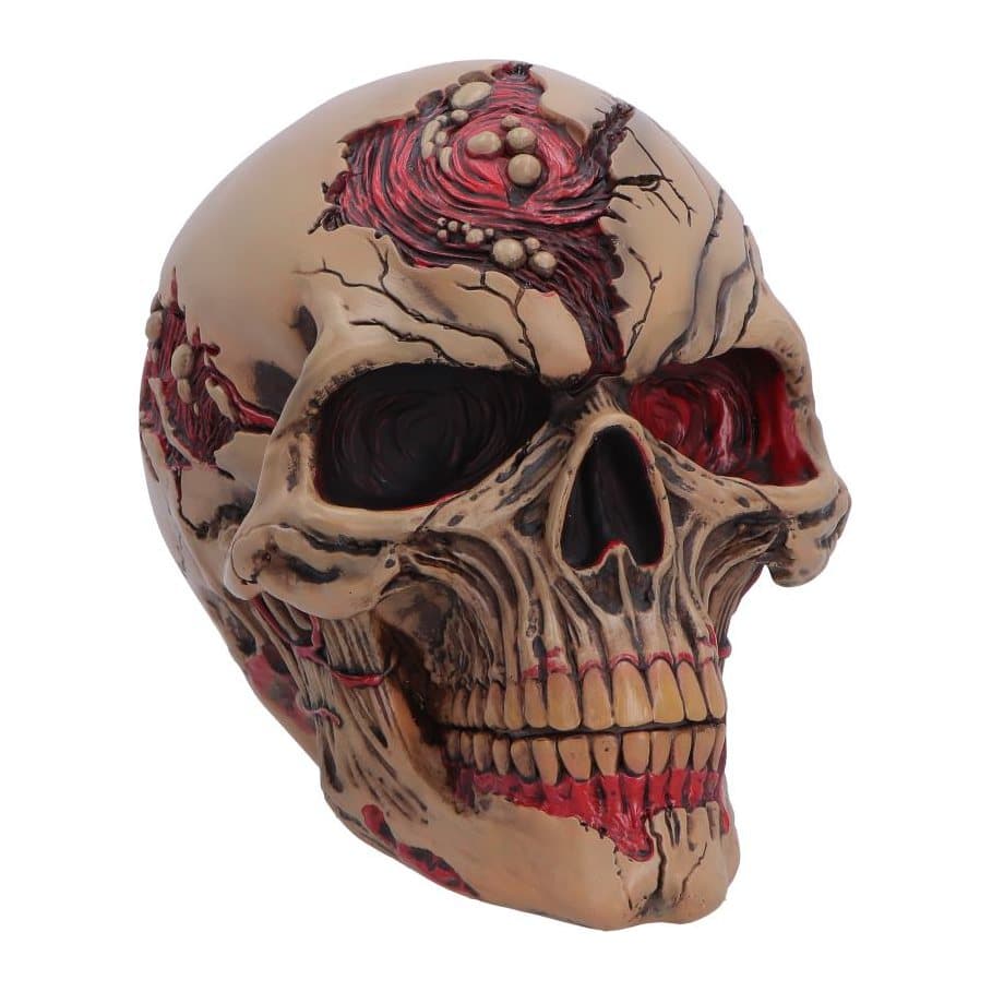 Zombie skull ornament with withered flesh and blood accents
