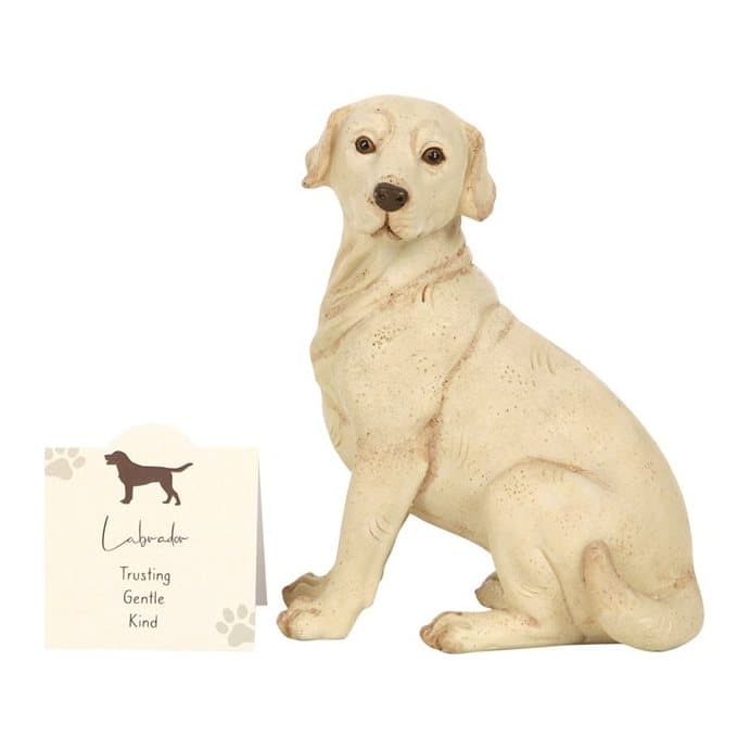 Resin yellow Labrador dog ornament with a standing sentiment card