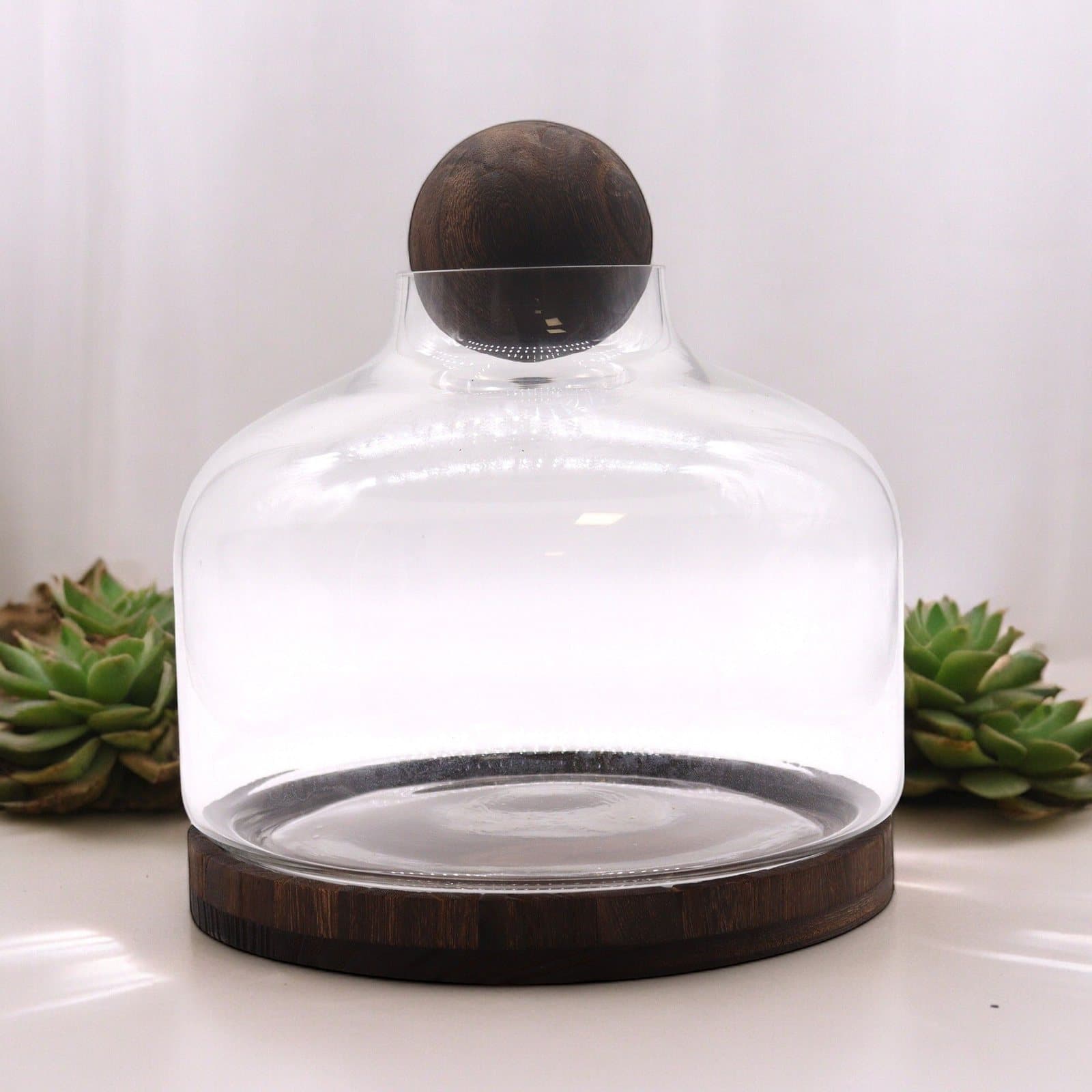 Extra large ball top terrarium on a dark tung wood base