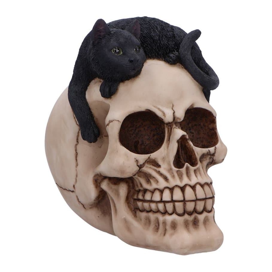 Bone-coloured skull with a black cat perched on top, dark green eyes
