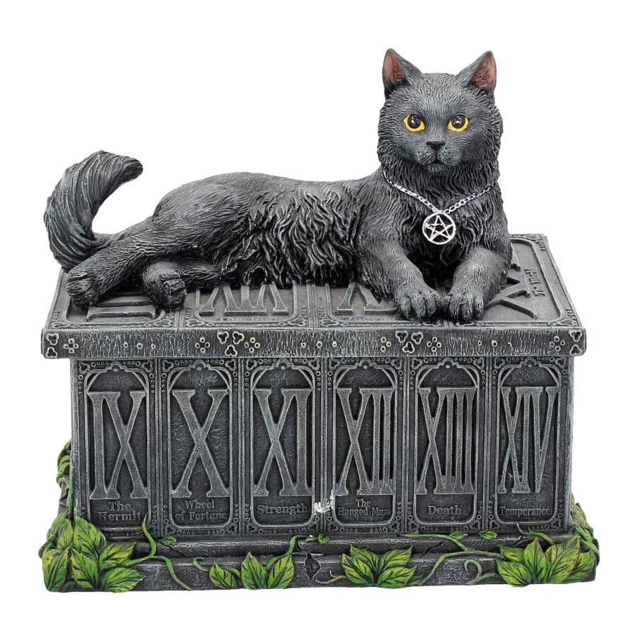 Black cat reclining on a tarot box that looks like a lost stone altar, with ivy