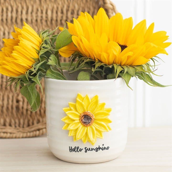 Hello Sunshine sunflower plant pot
