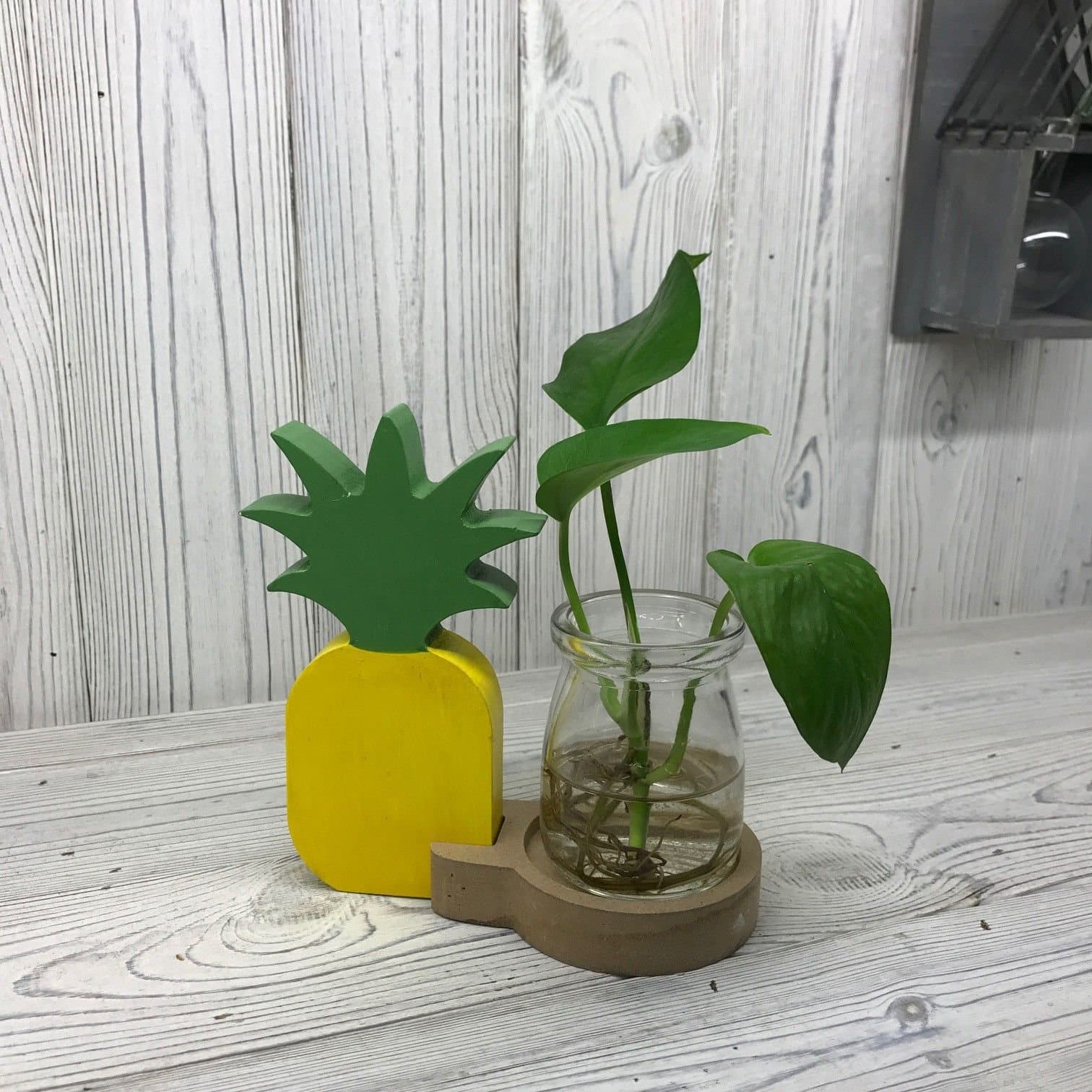 Hydroponic pineapple pot with a round laboratory tube