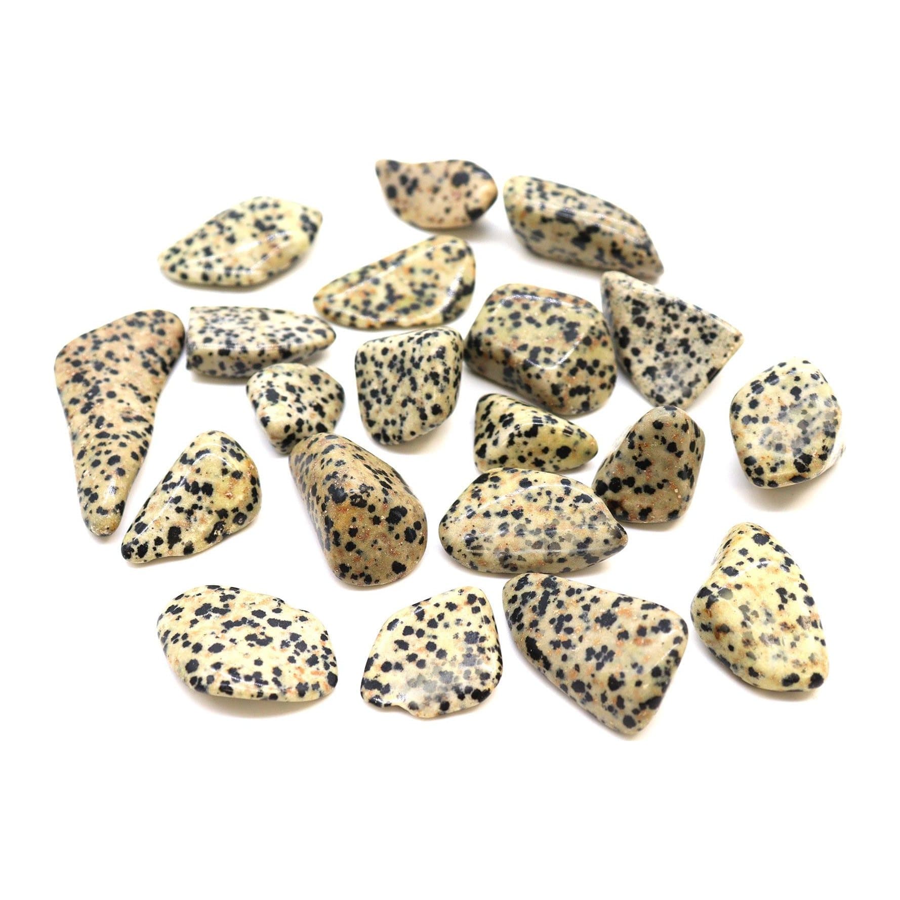 Bag of 24 polished Dalmatian tumble stones