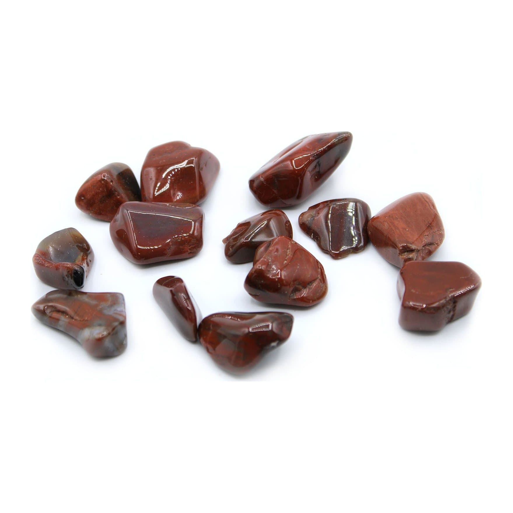 Large petrified wood tumble stones in a bag of 24