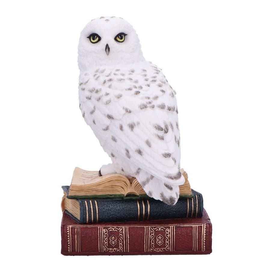 White owl figurine perched on a stack of arcane tomes