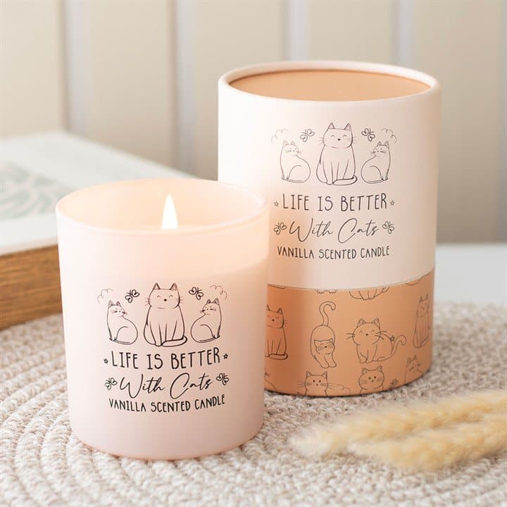 Blush pink jar candle with cat illustrations