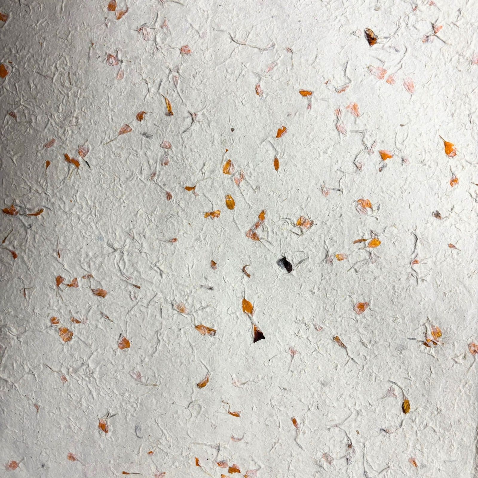 Cream Lokta paper sheet with scattered orange marigold petals