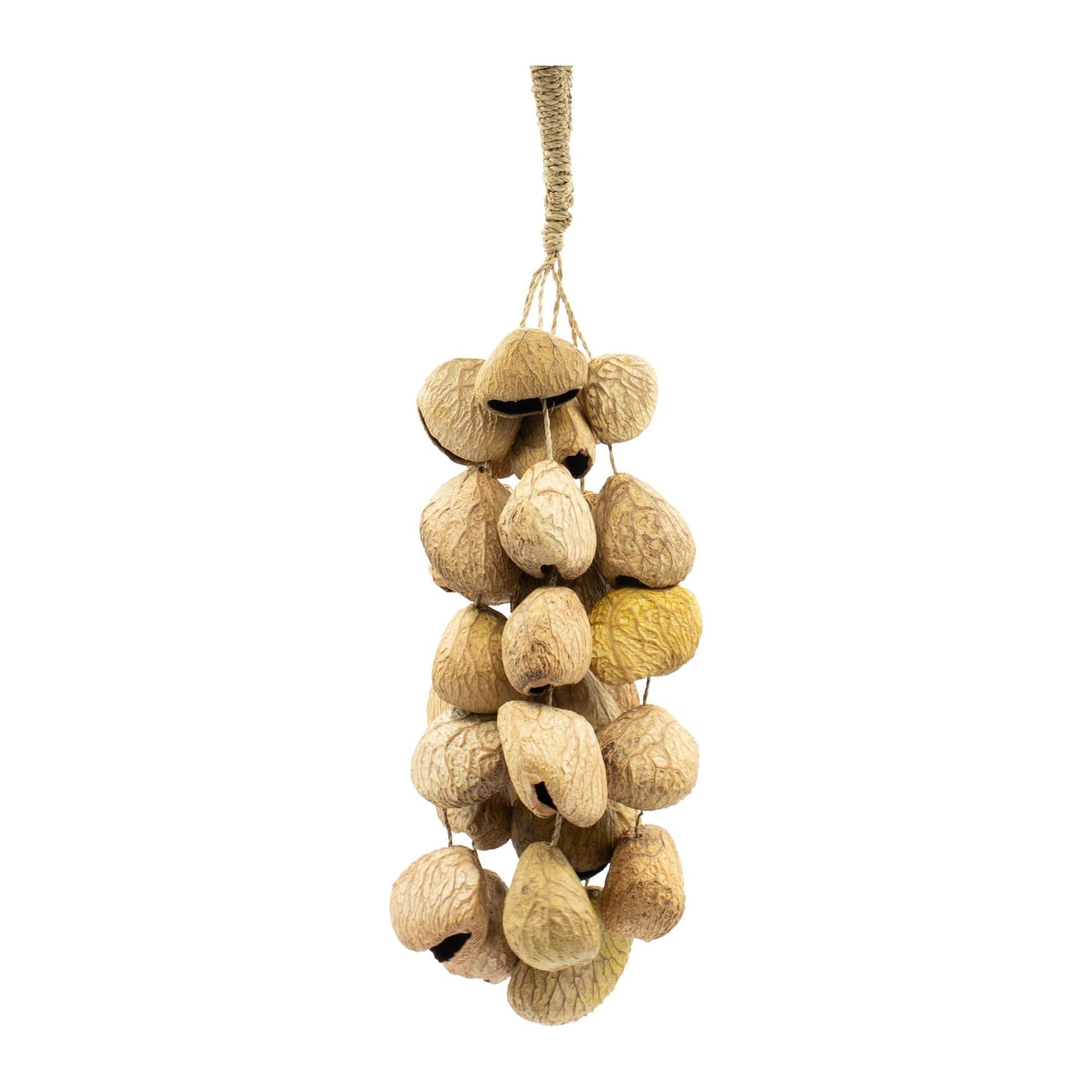 Natural pangi seed shell nut shaker on a hand-tied cord