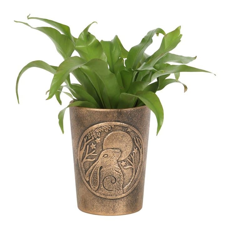 Terracotta plant pot with a moon gazing hare in antiqued bronze effect