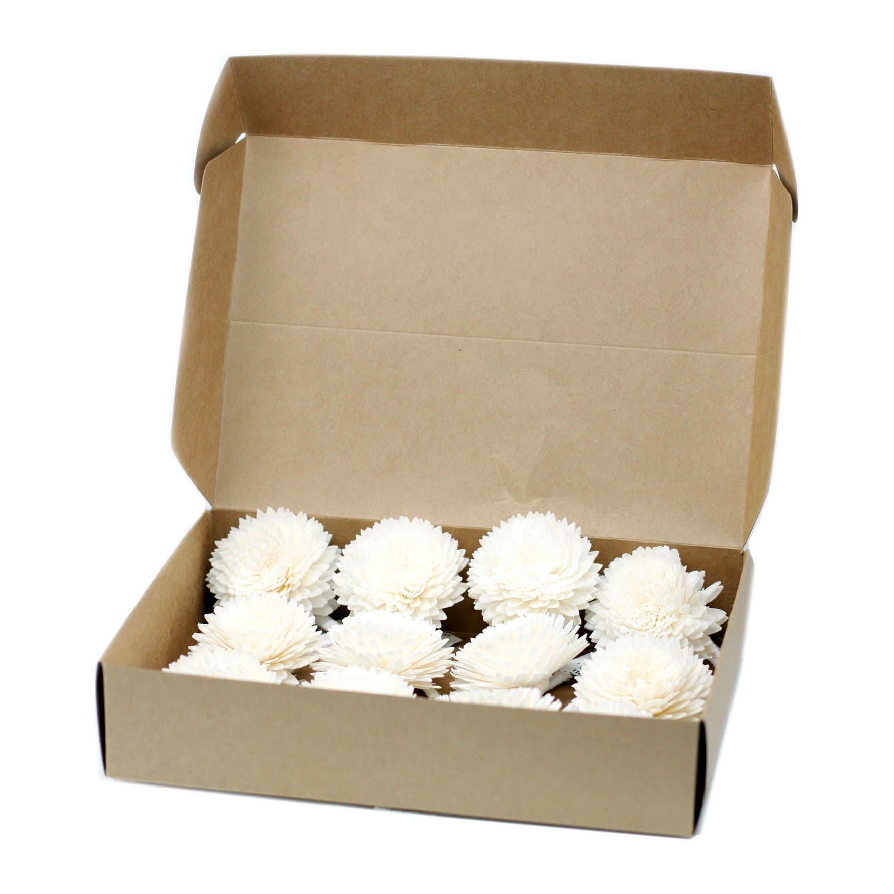 Cream sola wood carnation diffuser flowers on cotton string