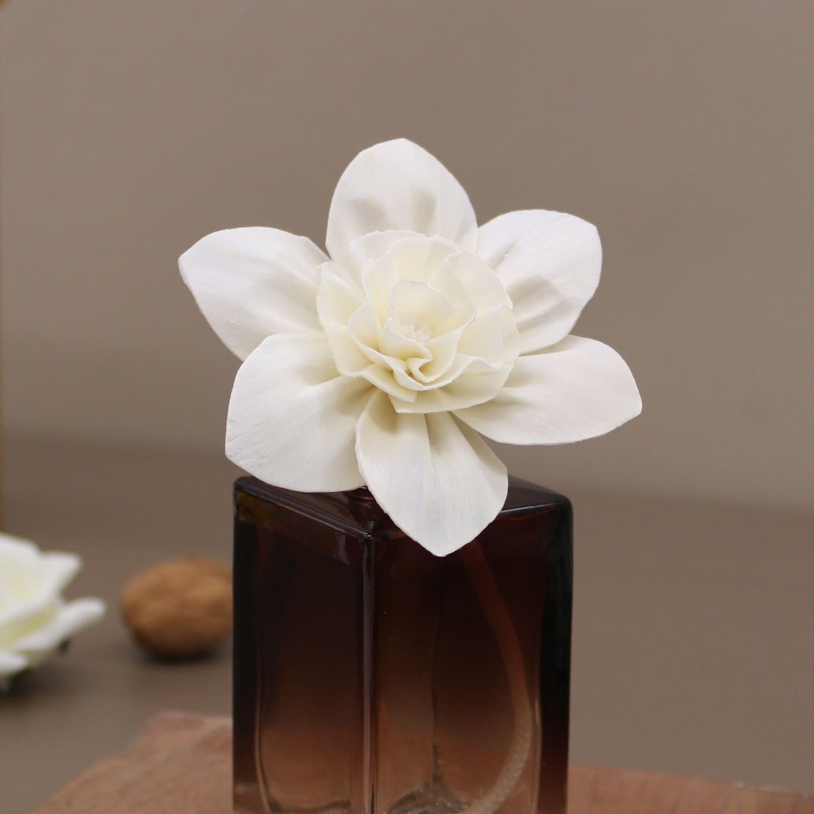 Cream sola wood lily diffuser flowers on cotton string