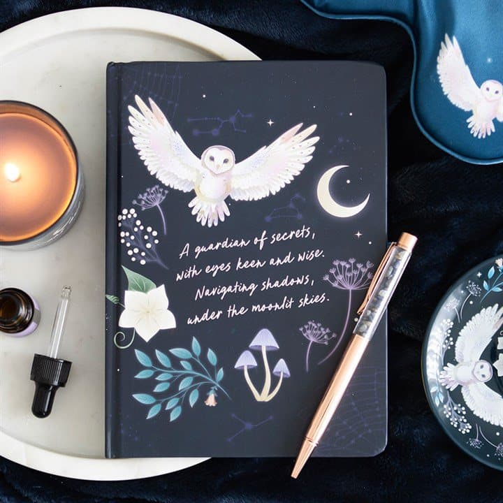 Night owl journal with a flying owl, night sky and a sodalite crystal chip pen