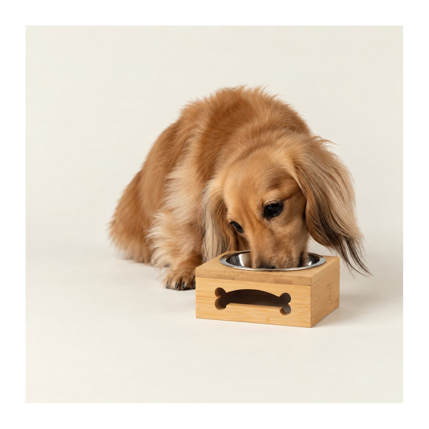 Stainless steel pet bowl sitting in a natural wooden stand