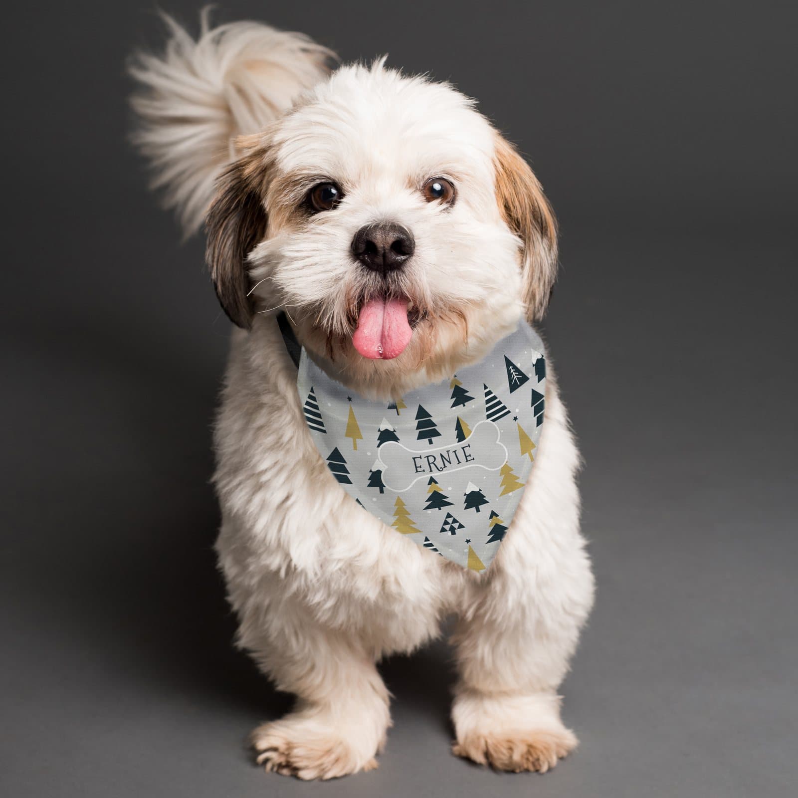 Personalised Christmas dog bandana