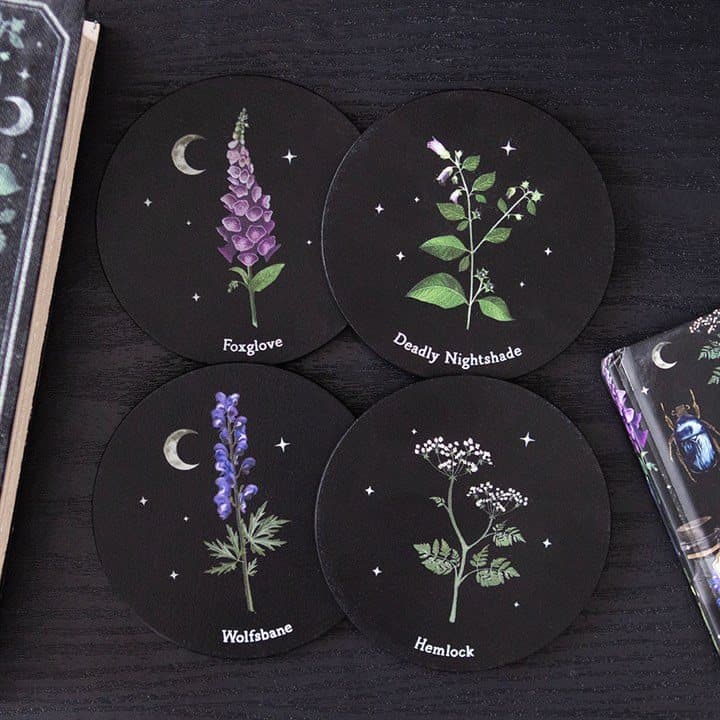 Set of four MDF coasters with illustrations of poisonous plants