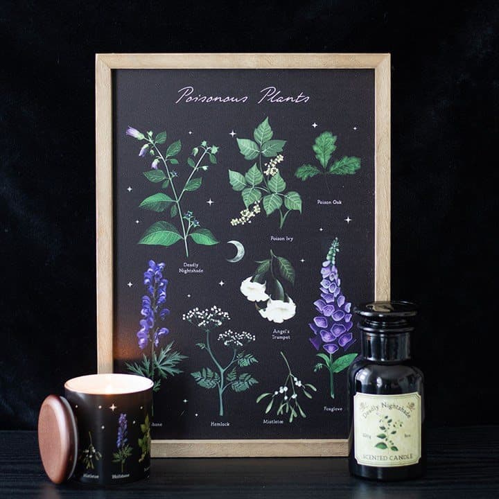 Wooden framed wall art print with an intricate poisonous plants design