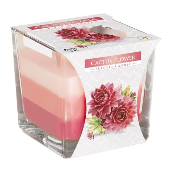 Rainbow jar candle in cactus flower, pack of two