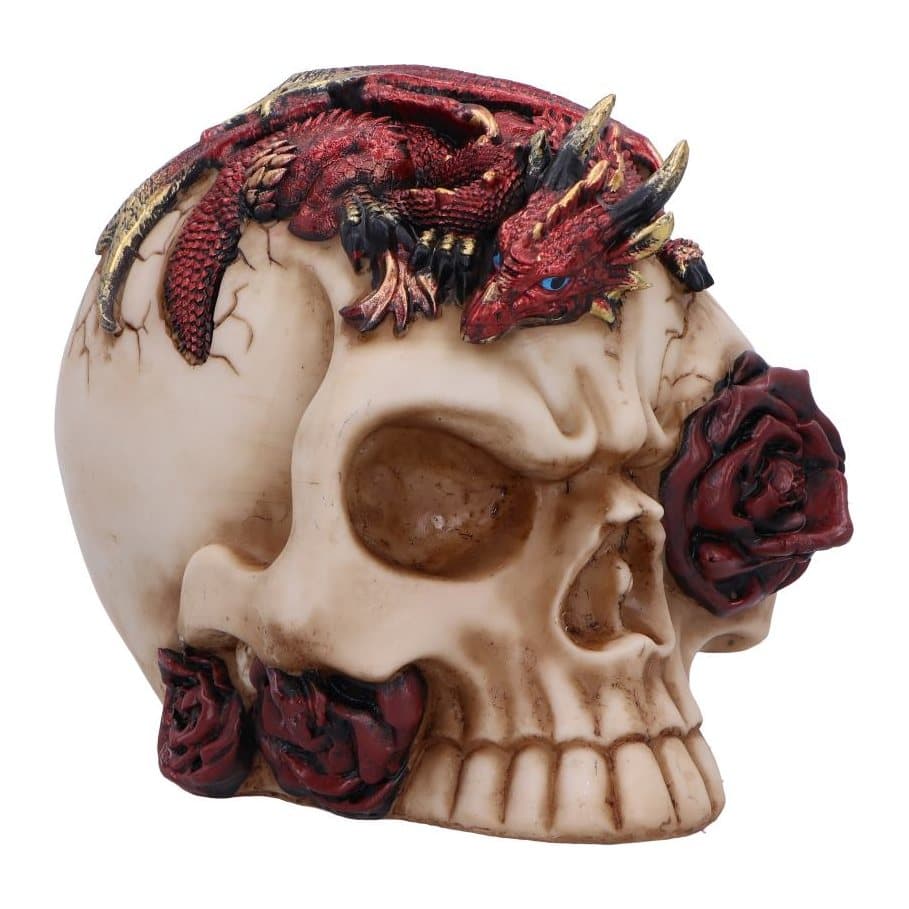 Red dragon with textured scales perched on a realistic human skull