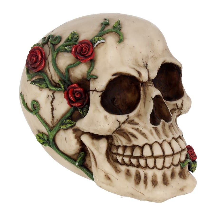 Natural-coloured skull with vines and red roses on its head