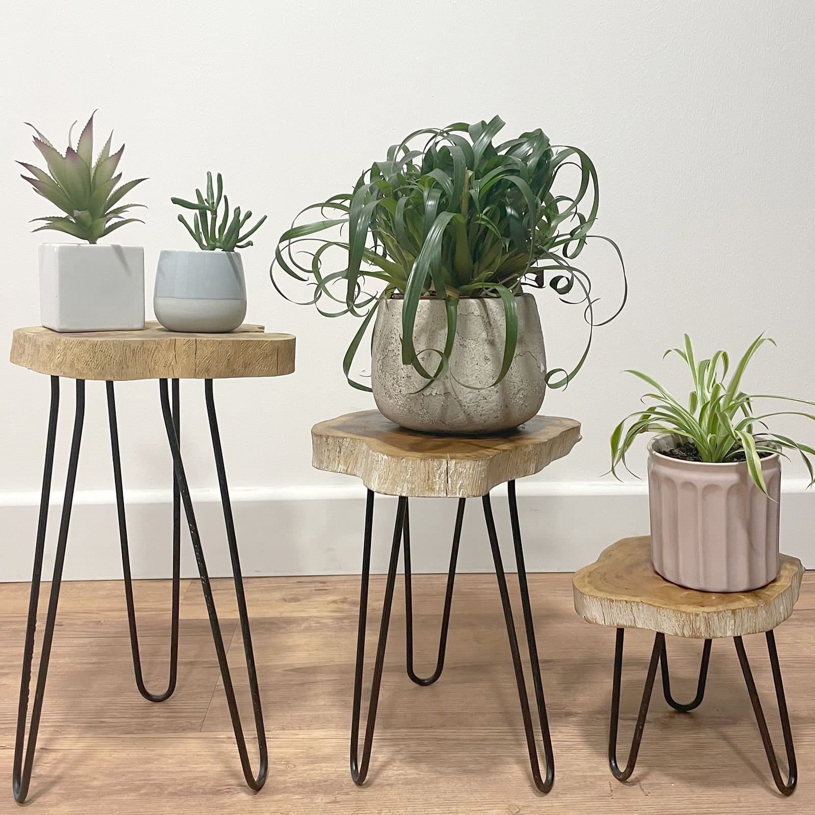 Set of three whitewash wooden plant stands on hairpin legs