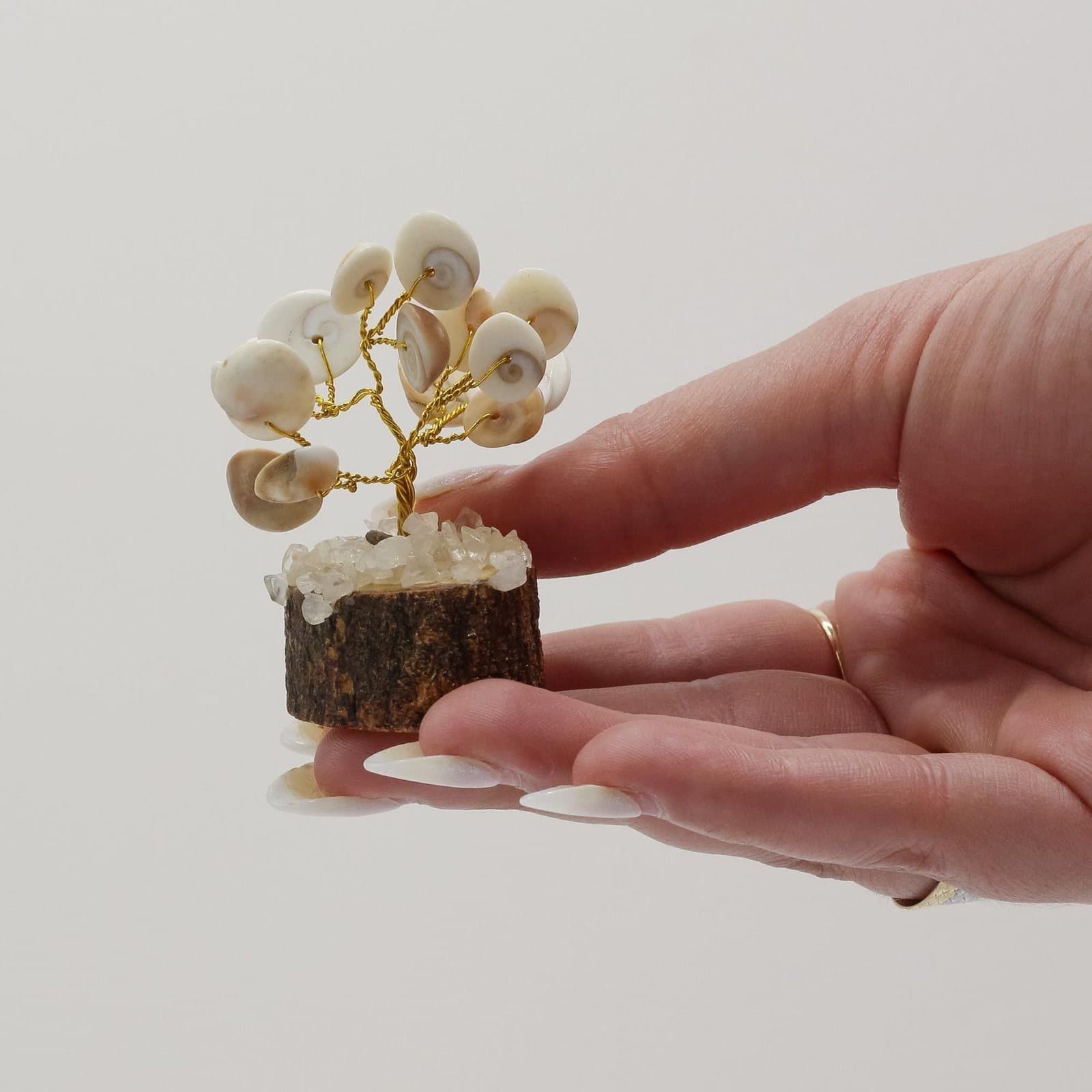 Small gomati chakra stone tree with rudraksha and circle stones