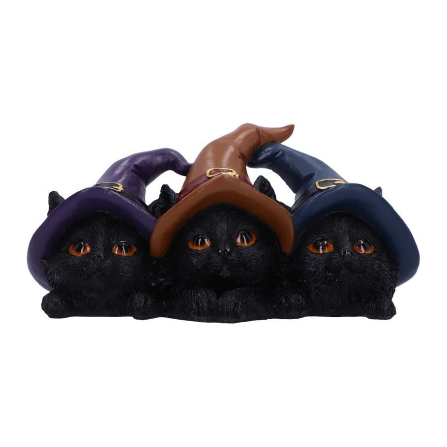 Three black cats in purple, brown and dark blue witch hats, with gold hat buckles