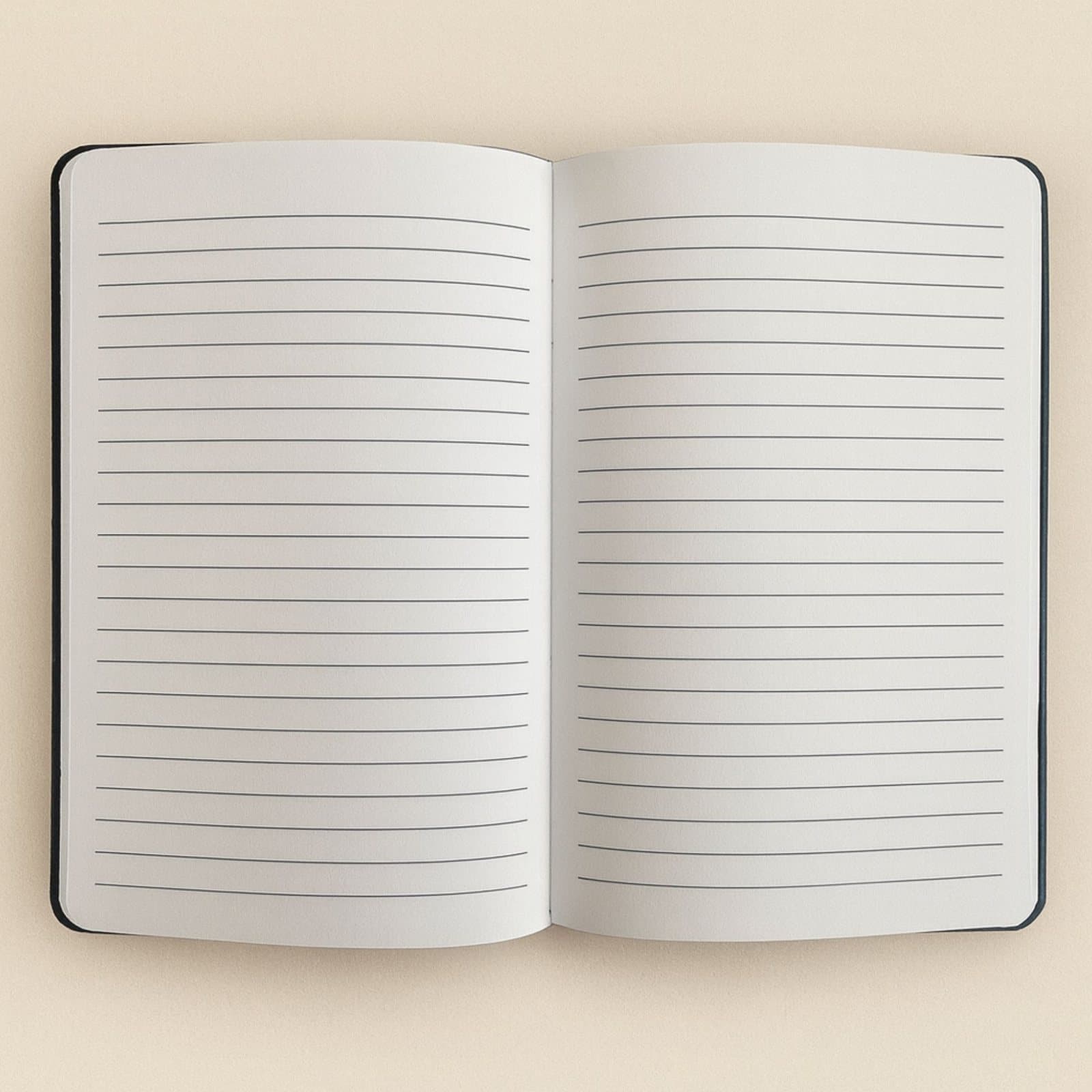 Black velvet notebook with a silver Carpe Diem