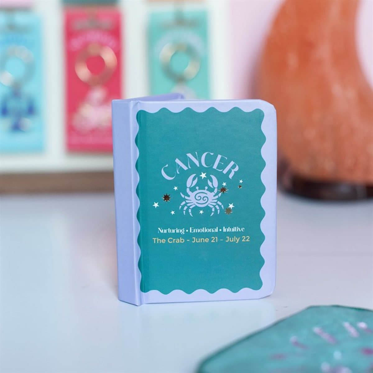 Cancer mini A7 notebook with a colourful crab design